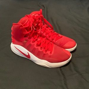 Mens Nike zoom hyper dunks